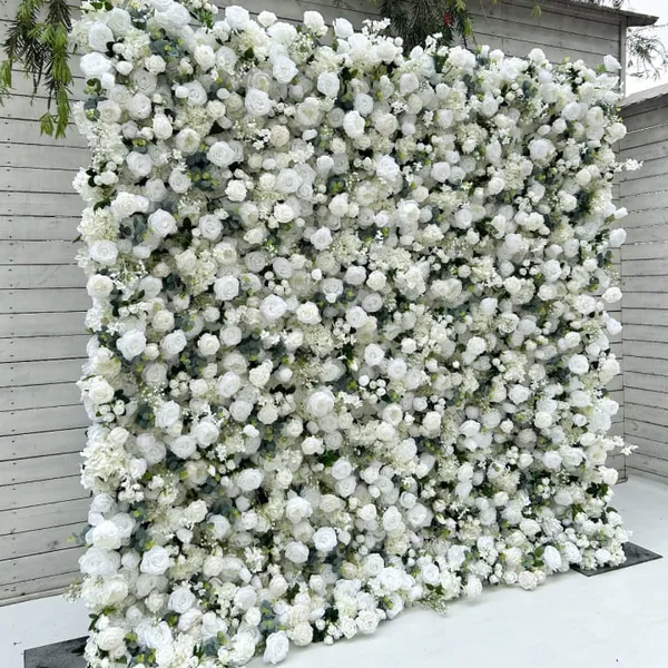 A large, white, and flowery bush with white flowers is growing in front of a wall, creating a visually appealing and colorful scene.