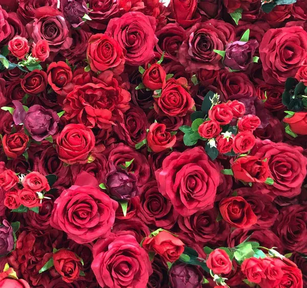 a bunch of red roses that are in a bunch of red flowers that are in a bunch of red flowers that are in a bunch of red roses that are in a bunch of red roses that are in a bunch