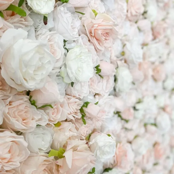 a wall of pink and white flowers with green stems and leaves in the center of the wall is a wall of white and pink flowers with green stems and green leaves in the center of the wall